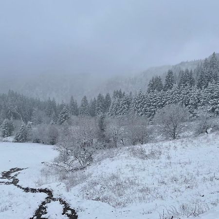 Appartement - Au Coeur Du Lac Blanc Orbey Buitenkant foto