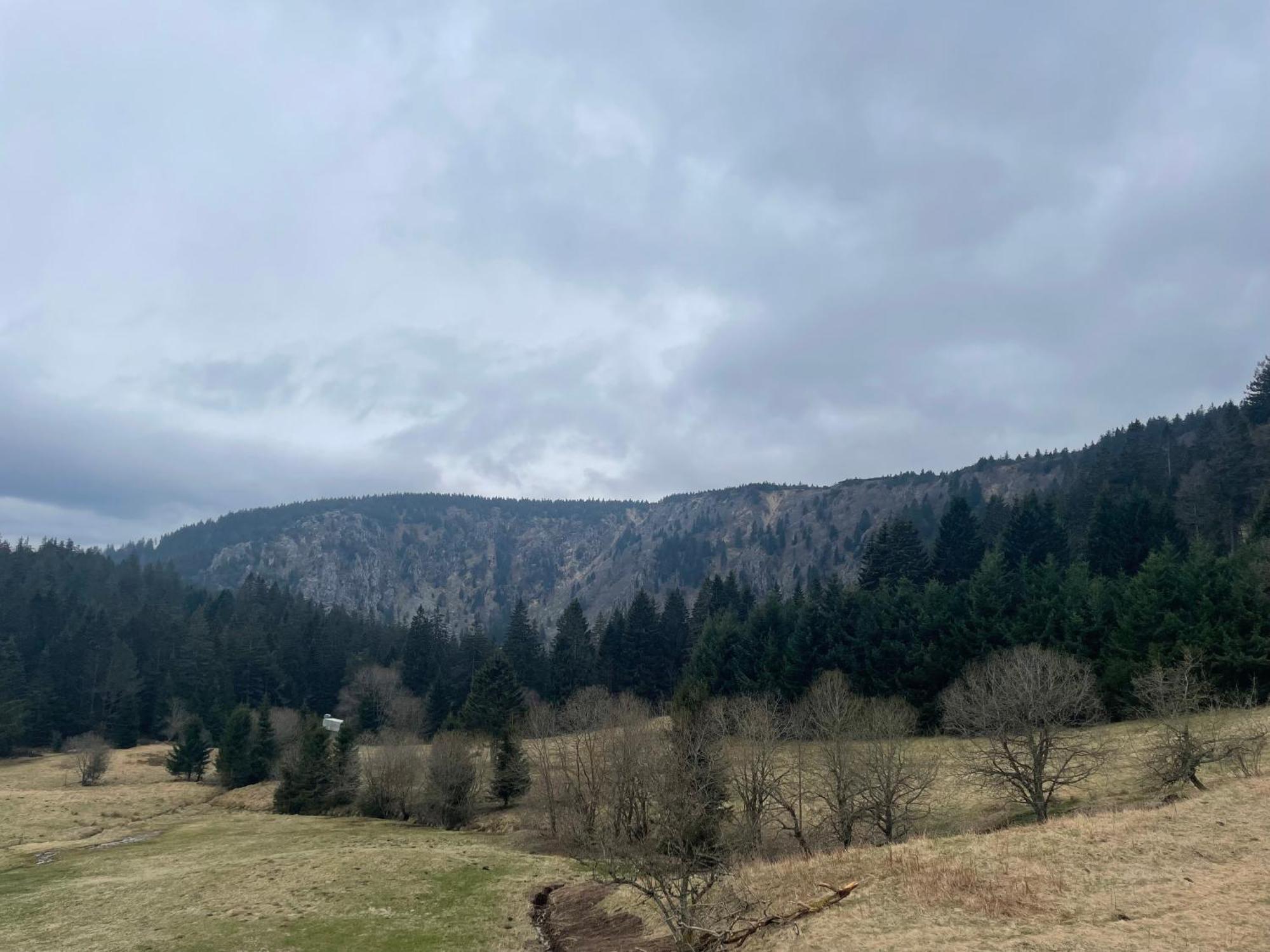 Appartement - Au Coeur Du Lac Blanc Orbey Buitenkant foto